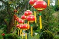 Chinese Red Lanterns (tanglung) Royalty Free Stock Photo